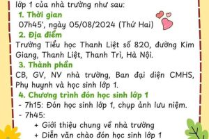 Hân hoan chào đón các bạn học sinh lớp 1 đến với ngôi trường tiểu học Thanh Liệt thân yêu