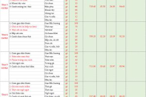 Thực đơn bán trú tuần 21 (Ngày 10/2- 15/2/2025)