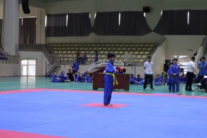 CHÚC MỪNG EM TRẦN DUY ANH LỚP 4A6 ĐẠT HUY CHƯƠNG BẠC CẤP THÀNH PHỐ MÔN VÕ VOVINAM