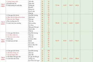 Thực đơn bán trú tuần 35 (Ngày 19/5-24/5/2025)