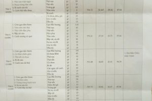 Thực đơn bán trú tuần 1 (Ngày 8/9-13/9/2025)