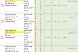 Thực đơn bán trú tuần 2(Ngày 15/9-20/9/2025)