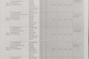 Thực đơn bán trú tuần 3 (Ngày 22/9-27/9/2025)