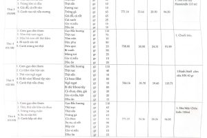 Thực đơn bán trú tuần 4 (Ngày 29/9-4/10/2025)