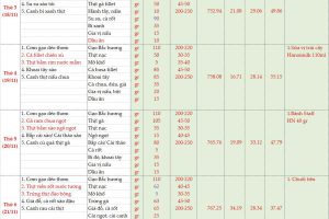 Thực đơn bán trú tuần 11 (Ngày 17/11 – 22/11/2025)