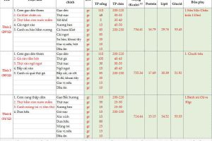 Thực đơn bán trú tuần 17 (Ngày 29/12 – 31/12/2025)