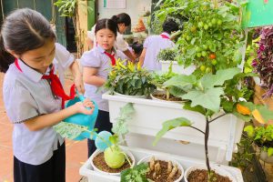 TRƯỜNG TIỂU HỌC CHU VĂN AN – PHƯỜNG THANH LIỆT HƯỞNG ỨNG CHIẾN DỊCH “HỌC ĐƯỜNG XANH – GIEO MẦM TƯƠNG LAI”