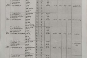 Thực đơn bán trú tuần 31 (Ngày 20/4- 25/4/2026)